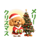 【秋冬】ずっと使える❤️日常会話 トイプー（個別スタンプ：40）