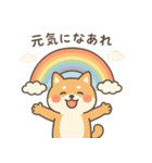 ゆるい柴犬の日常（個別スタンプ：1）