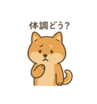 ゆるい柴犬の日常（個別スタンプ：4）