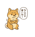 ゆるい柴犬の日常（個別スタンプ：5）