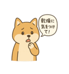 ゆるい柴犬の日常（個別スタンプ：6）