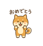 ゆるい柴犬の日常（個別スタンプ：9）