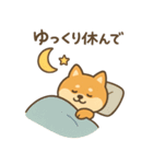 ゆるい柴犬の日常（個別スタンプ：12）