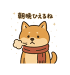 ゆるい柴犬の日常（個別スタンプ：13）