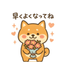 ゆるい柴犬の日常（個別スタンプ：14）