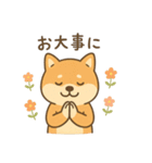 ゆるい柴犬の日常（個別スタンプ：15）