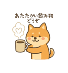 ゆるい柴犬の日常（個別スタンプ：16）