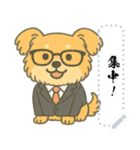 がんばれちゃちゃ丸！（メッセージ）（個別スタンプ：5）