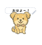 がんばれちゃちゃ丸！（メッセージ）（個別スタンプ：8）