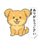 がんばれちゃちゃ丸！（メッセージ）（個別スタンプ：9）