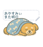 がんばれちゃちゃ丸！（メッセージ）（個別スタンプ：11）