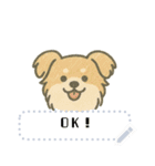 がんばれちゃちゃ丸！（メッセージ）（個別スタンプ：15）