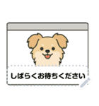 がんばれちゃちゃ丸！（メッセージ）（個別スタンプ：16）