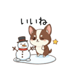 【冬】いぬのすたんぷ①（個別スタンプ：11）