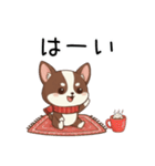 【冬】いぬのすたんぷ①（個別スタンプ：12）