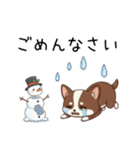 【冬】いぬのすたんぷ①（個別スタンプ：14）