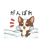 【冬】いぬのすたんぷ①（個別スタンプ：26）