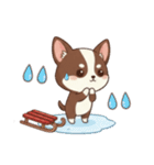 【冬】いぬのすたんぷ①（個別スタンプ：32）