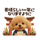 毎年使える冬・年末年始♡トイプードル（個別スタンプ：38）