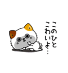 ねこ依存嫉妬しちゃう（個別スタンプ：16）