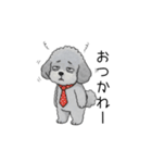 社畜なトイプードル（個別スタンプ：1）