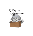 社畜なトイプードル（個別スタンプ：6）