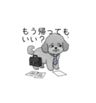 社畜なトイプードル（個別スタンプ：8）