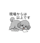 社畜なトイプードル（個別スタンプ：12）