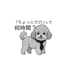 社畜なトイプードル（個別スタンプ：15）