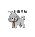 社畜なトイプードル（個別スタンプ：19）