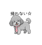 社畜なトイプードル（個別スタンプ：39）