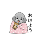 子育て中に使いやすいトイプードル（個別スタンプ：1）