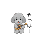 子育て中に使いやすいトイプードル（個別スタンプ：3）