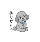 子育て中に使いやすいトイプードル（個別スタンプ：6）