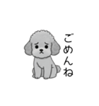 子育て中に使いやすいトイプードル（個別スタンプ：7）