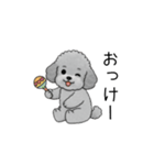 子育て中に使いやすいトイプードル（個別スタンプ：9）