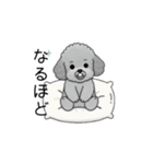 子育て中に使いやすいトイプードル（個別スタンプ：10）