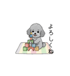 子育て中に使いやすいトイプードル（個別スタンプ：11）
