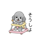 子育て中に使いやすいトイプードル（個別スタンプ：15）