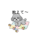 子育て中に使いやすいトイプードル（個別スタンプ：16）