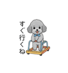 子育て中に使いやすいトイプードル（個別スタンプ：17）