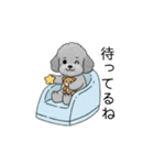 子育て中に使いやすいトイプードル（個別スタンプ：18）