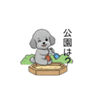 子育て中に使いやすいトイプードル（個別スタンプ：22）