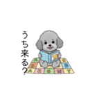 子育て中に使いやすいトイプードル（個別スタンプ：24）