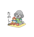 子育て中に使いやすいトイプードル（個別スタンプ：29）