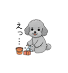 子育て中に使いやすいトイプードル（個別スタンプ：31）