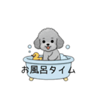 子育て中に使いやすいトイプードル（個別スタンプ：34）
