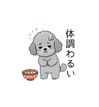 子育て中に使いやすいトイプードル（個別スタンプ：37）
