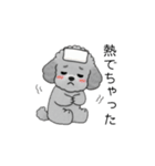 子育て中に使いやすいトイプードル（個別スタンプ：39）