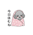 子育て中に使いやすいトイプードル（個別スタンプ：40）